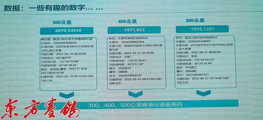 科汇鸽钟最新款图片展示，一睹新品风采