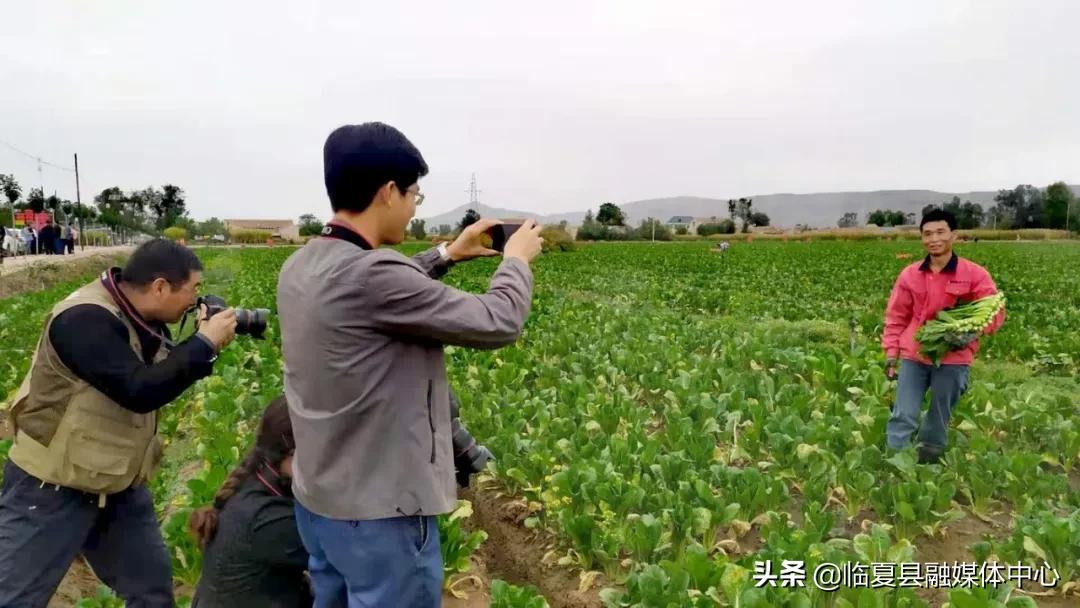 临夏北塬飞机场最新选址解析